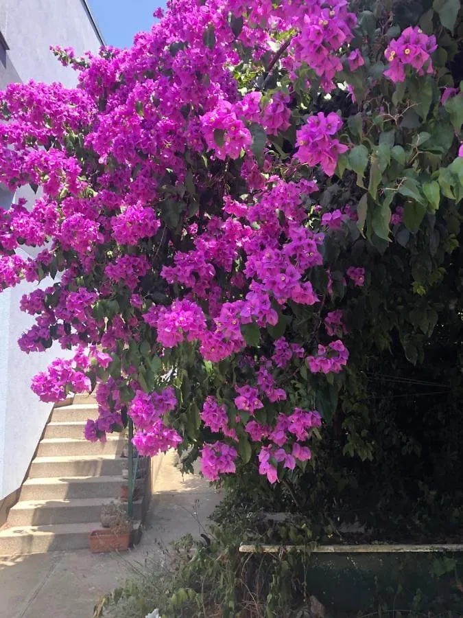 New House Few Steps From The Sea And Beach Villa Kali